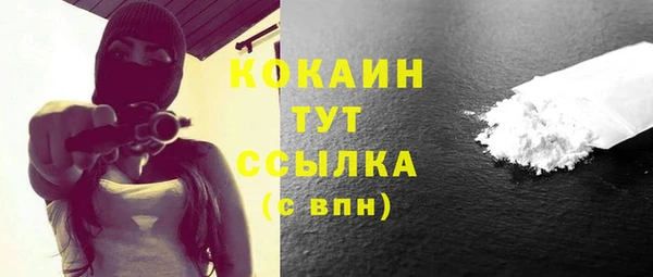 твердый Надым