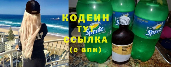 твердый Надым