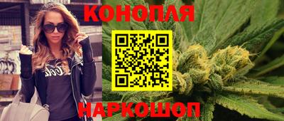 гашик Гусь-Хрустальный