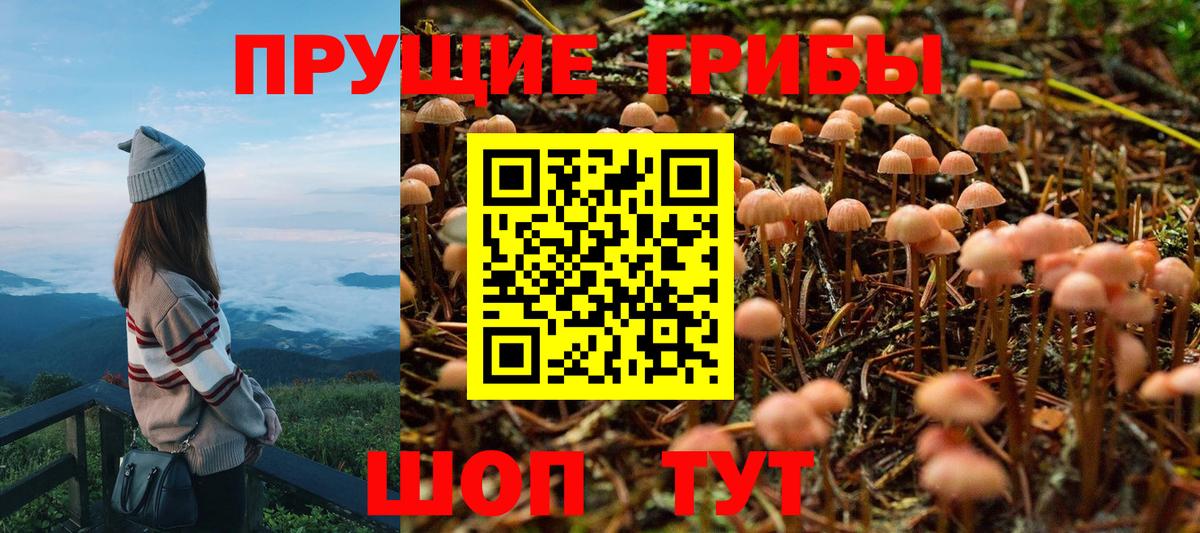 Галлюциногенные грибы Cubensis  Ачинск  Псилоцибиновые грибы Psilocybine cubensis 