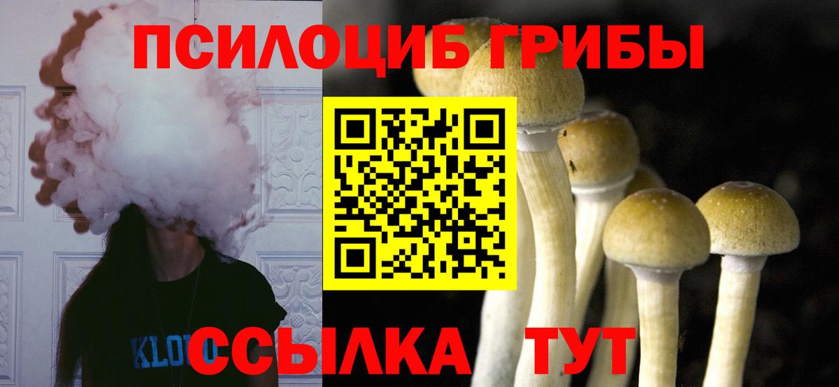 Галлюциногенные грибы мухоморы  Вход с VPN  Ачинск 