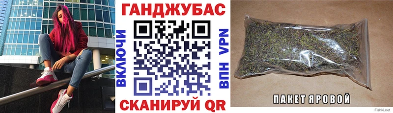 Конопля гибрид  Ачинск 
